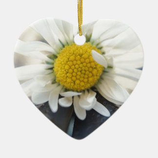Ornamento De Cerâmica Daisy Delicate