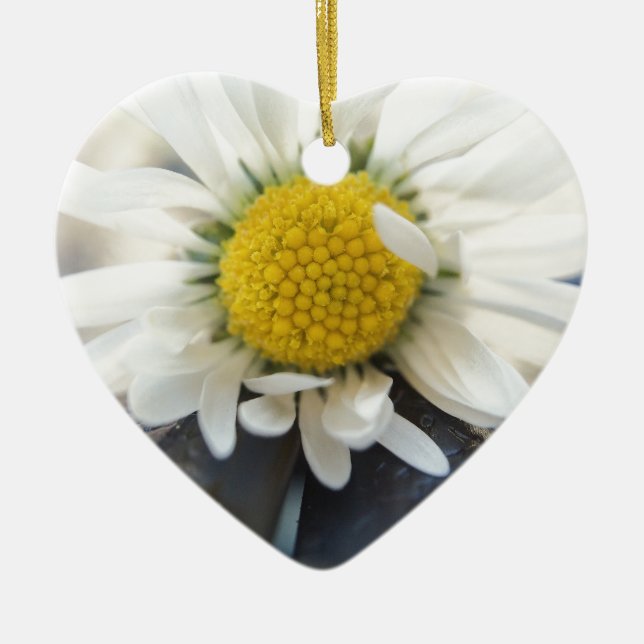 Ornamento De Cerâmica Daisy Delicate (Frente)