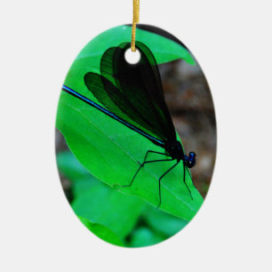 Ornamento De Cerâmica Damselfly azul em uma folha verde.