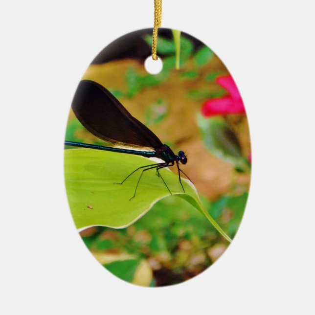 Ornamento De Cerâmica Damselfly e Rosa (Frente)