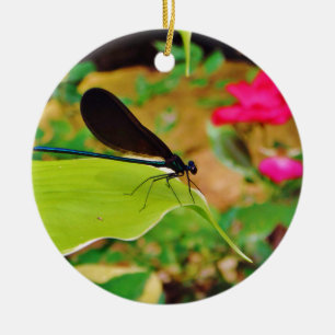 Ornamento De Cerâmica Damselfly e Rosa