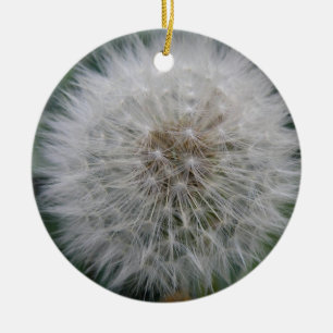 Ornamento De Cerâmica Dandelion Flower, Aniversário Personalizado
