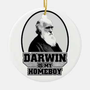 Ornamento De Cerâmica Darwin é meu ficar em casa