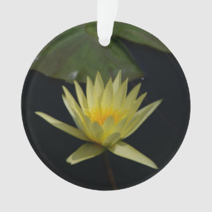 Ornamento de cerâmica de Flor Waterlily Amarelo