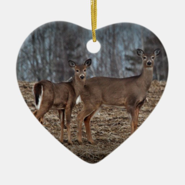Ornamento De Cerâmica Deer_0337v (Frente)