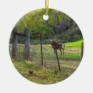 Ornamento De Cerâmica Deer E Um Esquilo Painterly