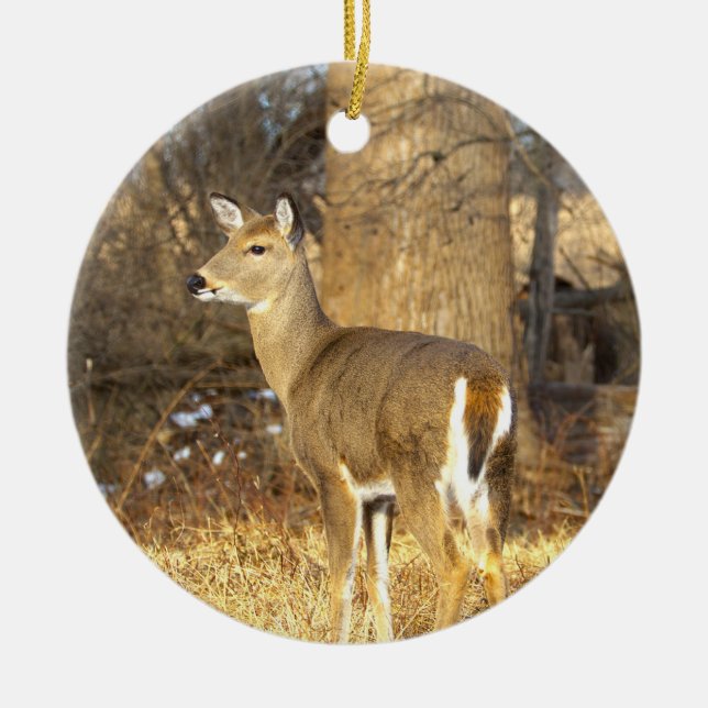 Ornamento De Cerâmica Deer Photo Ornament  (Frente)