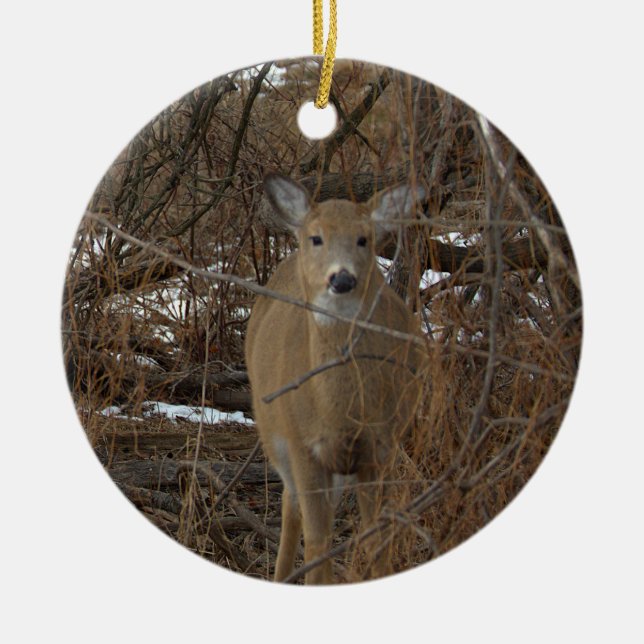 Ornamento De Cerâmica Deer Photo Ornament  (Frente)