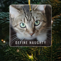 Defina Travesso Pet | Foto Árvore de Natal