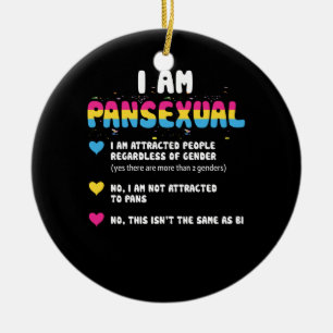 Ornamento De Cerâmica Definição Pansexual - Orgulho gay engraçado LGB
