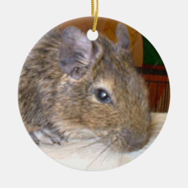 Ornamento De Cerâmica Degu Relaxing I Love Degus Ornament (Frente)