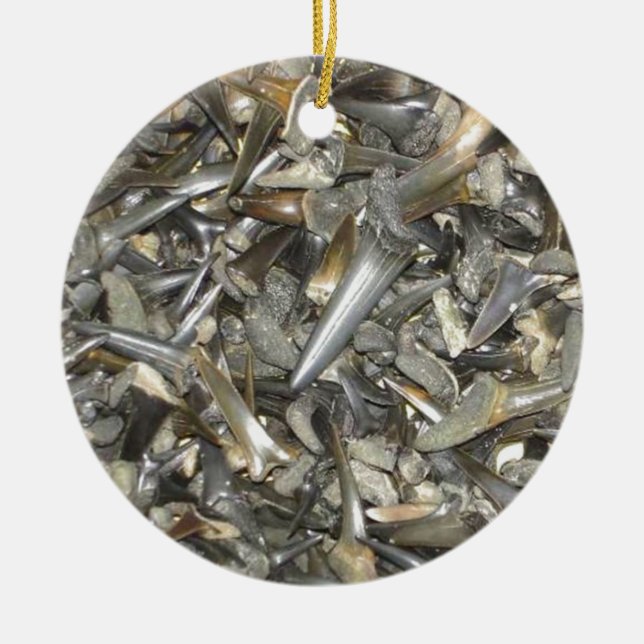 Ornamento De Cerâmica Dentes de tubarão fósseis (Frente)