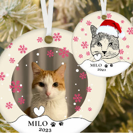 Ornamento De Cerâmica Desenho de Mão Personalizada de Ginger White Cat