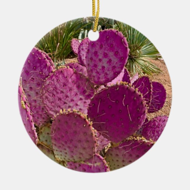Ornamento De Cerâmica Desertos em Flor (Frente)