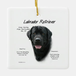 Ornamento De Cerâmica Design de História do Labrador Retriever (preto)