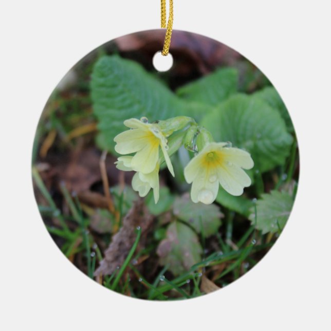 Ornamento De Cerâmica Design Natural (Frente)