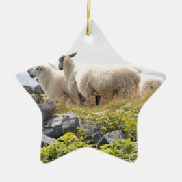 Ornamento De Cerâmica Designs Excêntricos - Ovelhas em um campo