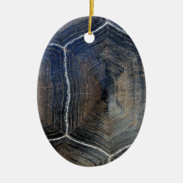 Ornamento De Cerâmica Detalhe da casca da tartaruga gigante Galápagos (Frente)