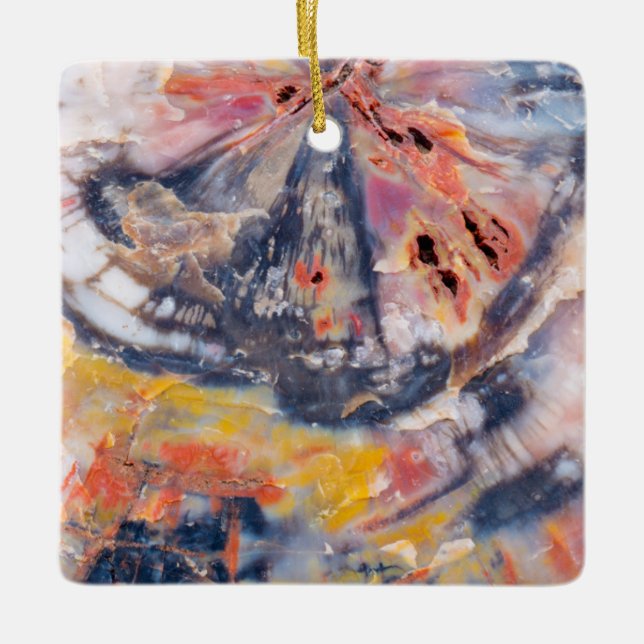 Ornamento De Cerâmica Detalhe da madeira Petrificada, Arizona (Frente)