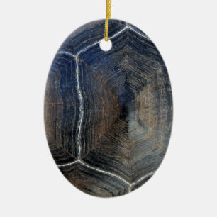 Ornamento De Cerâmica Detalhe gigante Galápagos da concha de tartaruga