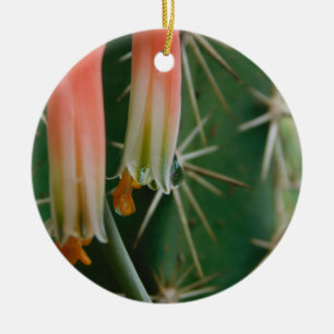 Ornamento De Cerâmica Dew on Aloe Bloom