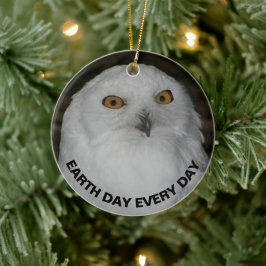 Ornamento De Cerâmica Dia da Terra Todos os Dias Snowy Owl