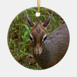 Ornamento De Cerâmica Dik-Dik Cute