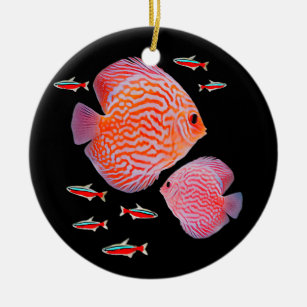 Ornamento De Cerâmica Disco Tetras Cardinas Alojamento de Peixes Aquário