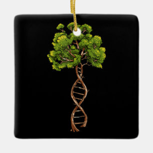 Ornamento De Cerâmica Dna Tree Of Life Science Genetics Biology Environm