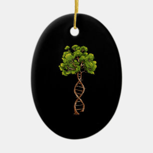 Ornamento De Cerâmica Dna Tree Of Life Science Genetics Biology Environm