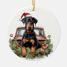 Doberman Holi