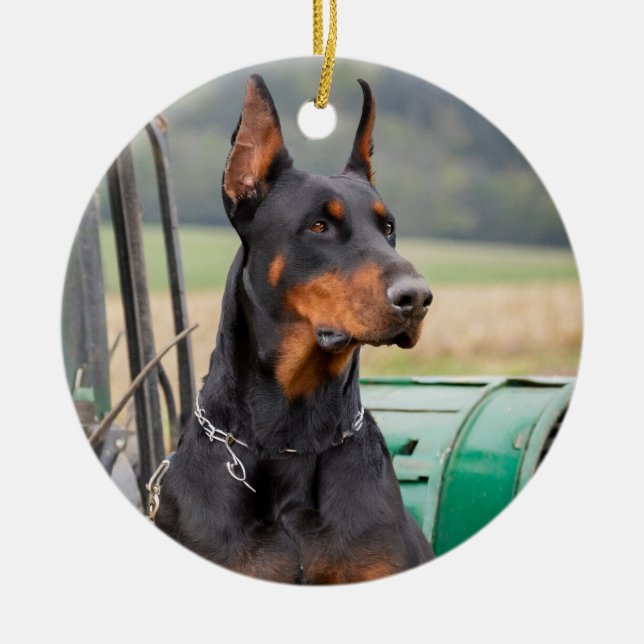 Ornamento De Cerâmica Doberman sentado numa máquina de fazenda verde (Frente)