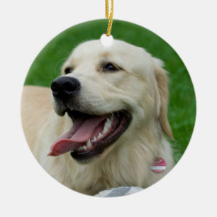 Ornamento De Cerâmica Doce Amiga Labrador