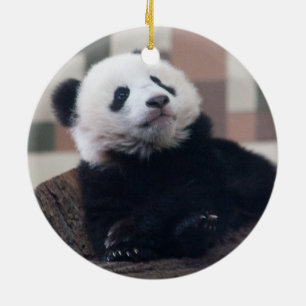 Ornamento De Cerâmica Doce Giant Panda Baby