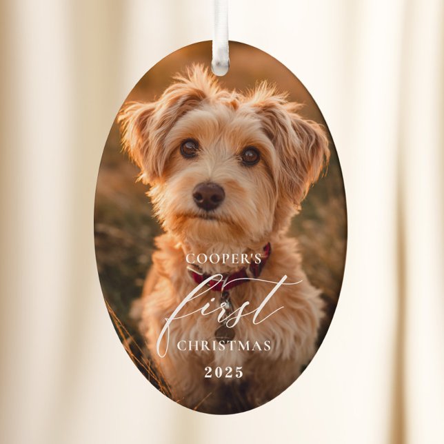Ornamento De Cerâmica Dog First Christmas Script Ornament (Criador carregado)