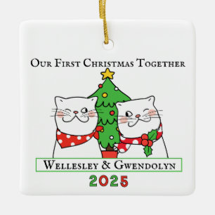 Ornamento De Cerâmica Dois Gatos Primeiro Natal Juntos