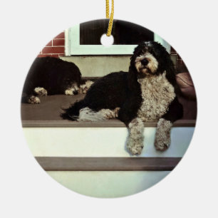 Ornamento De Cerâmica Dois Sheepadoodles Na Porca