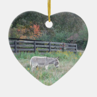 Ornamento De Cerâmica Donkey em um Campo de outono.