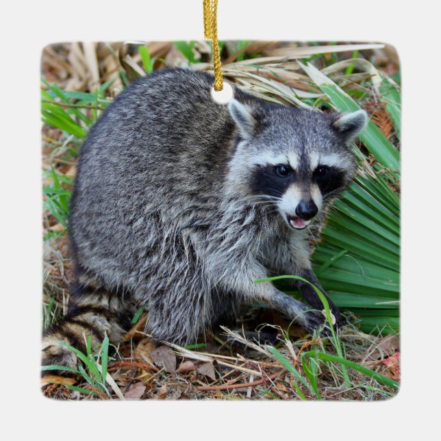 Ornamento De Cerâmica Don't Mind Me, Just Passing Through (Frente)