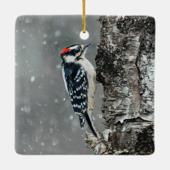 Ornamento De Cerâmica Downy Woodpecker em Neve - Foto Original (Verso)