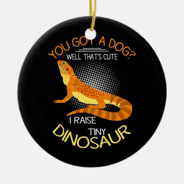 Ornamento De Cerâmica Dragão barbudo Eu Levanto Um Dinossauro Pequeno (Frente)