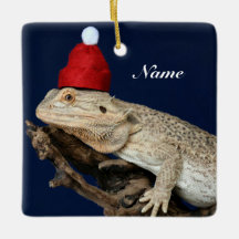 Dragão Carborado Personalizado Lizard - Santa Chap