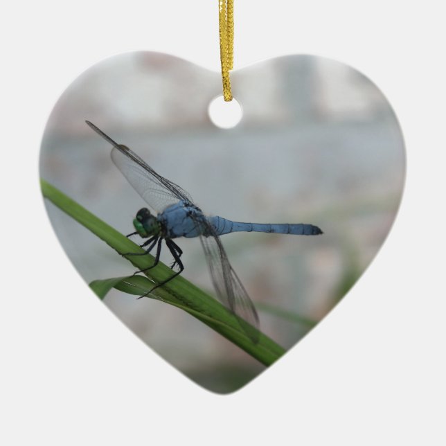 Ornamento De Cerâmica Dragonfly Azul (Frente)