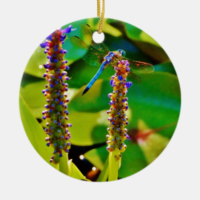 Ornamento De Cerâmica Dragonfly azul e flores (Frente)