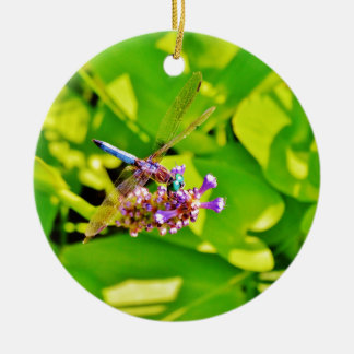 Ornamento De Cerâmica Dragonfly de cor arco-íris numa flor rosa púrpura