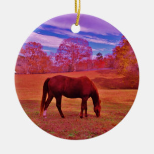 ORNAMENTO DE CERÂMICA DSCF0536.JPG