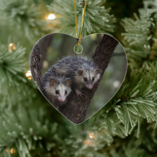 Ornamento De Cerâmica Duplo problema na cobertura: Twin Possum