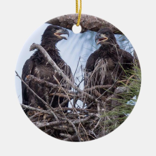 Ornamento De Cerâmica E10 & E11Ornament (Frente)