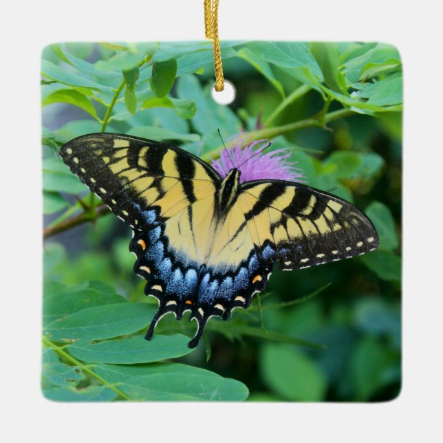 Ornamento De Cerâmica Eastern Tiger Swallowtail Butterfly (Frente)