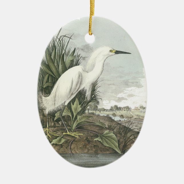 Ornamento De Cerâmica Egret nevado, John Audubon (Frente)